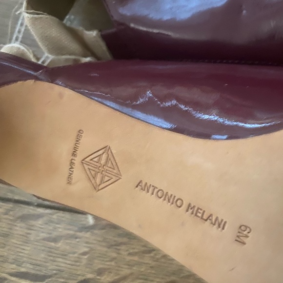 Ready for Autumn, Antonio Melani Plum Kitten Heels! - Picture 3 of 4